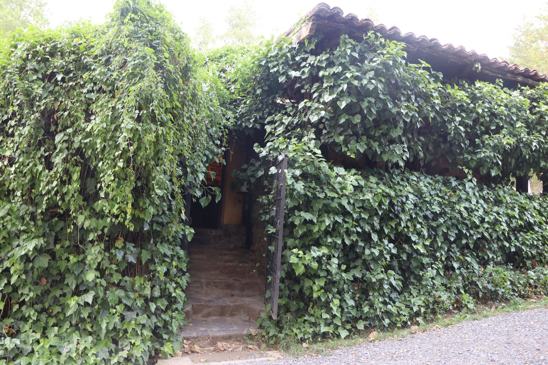 Imagen secundaria 1 - Imágenes del interior de La Taberna.