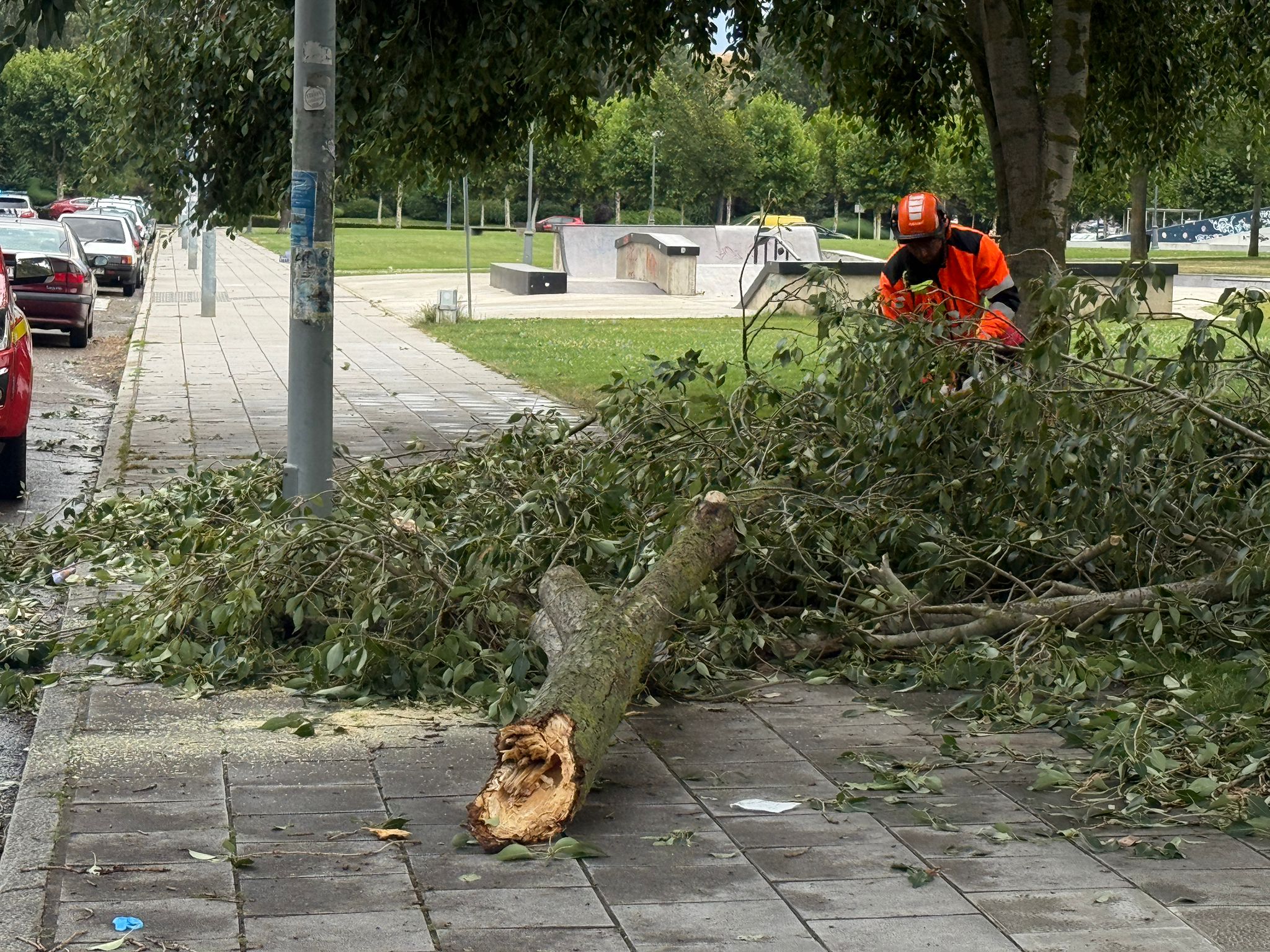 Las imágenes de la espectacular tormenta de granizo que ha caído en León