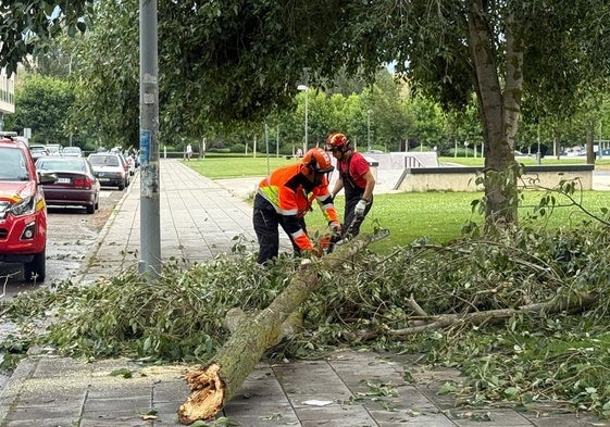 Imágenes de bomberos retirando árboles.
