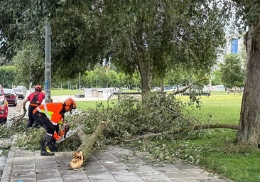 Adiós a 'Pepe', el hombre fallecido tras caerle un árbol en León
