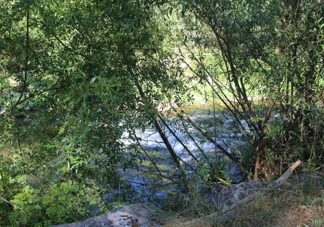 Los vecinos de la localidad denuncian que la zona es «de difícil acceso» y «está llena de rocas y maleza»: