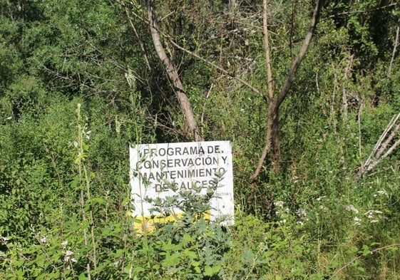Cartel entre la maleza del río Bernesga a su paso por La Seca de Alba.