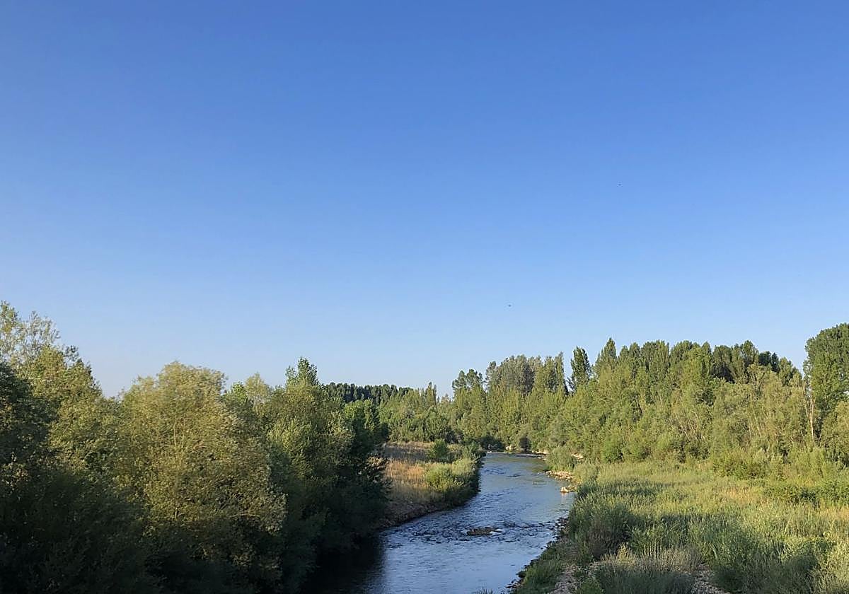 Imagen inmortalizada por un lector.