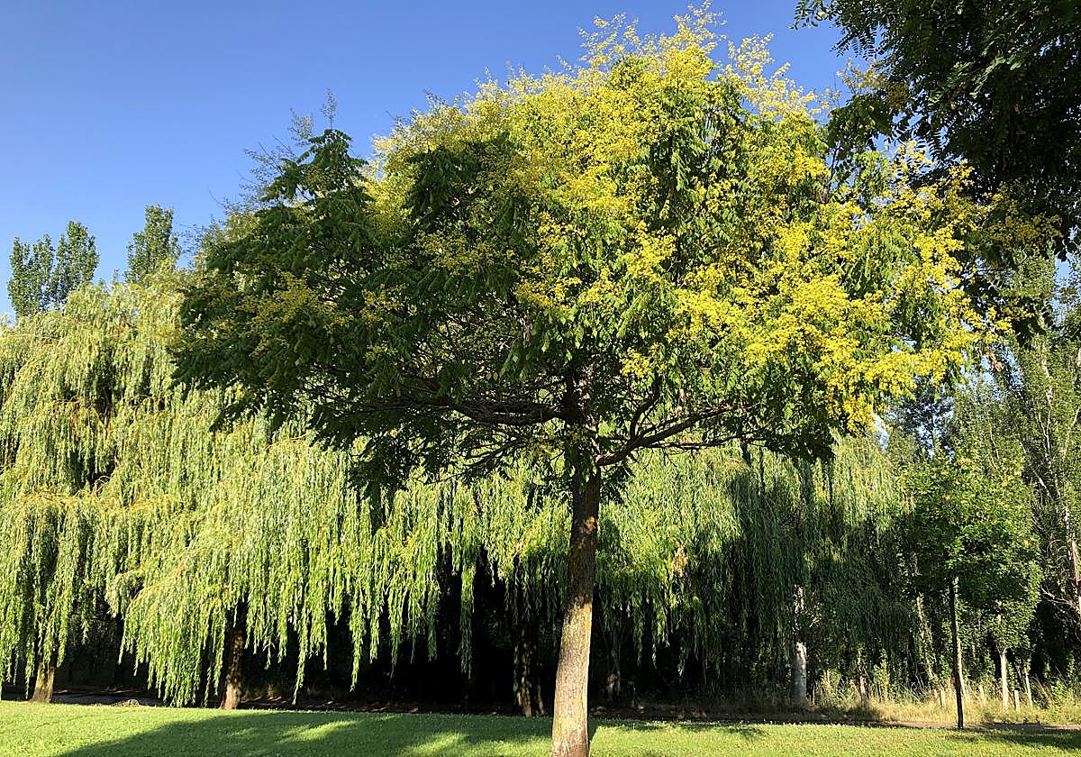 Imagen realizada por un lector.