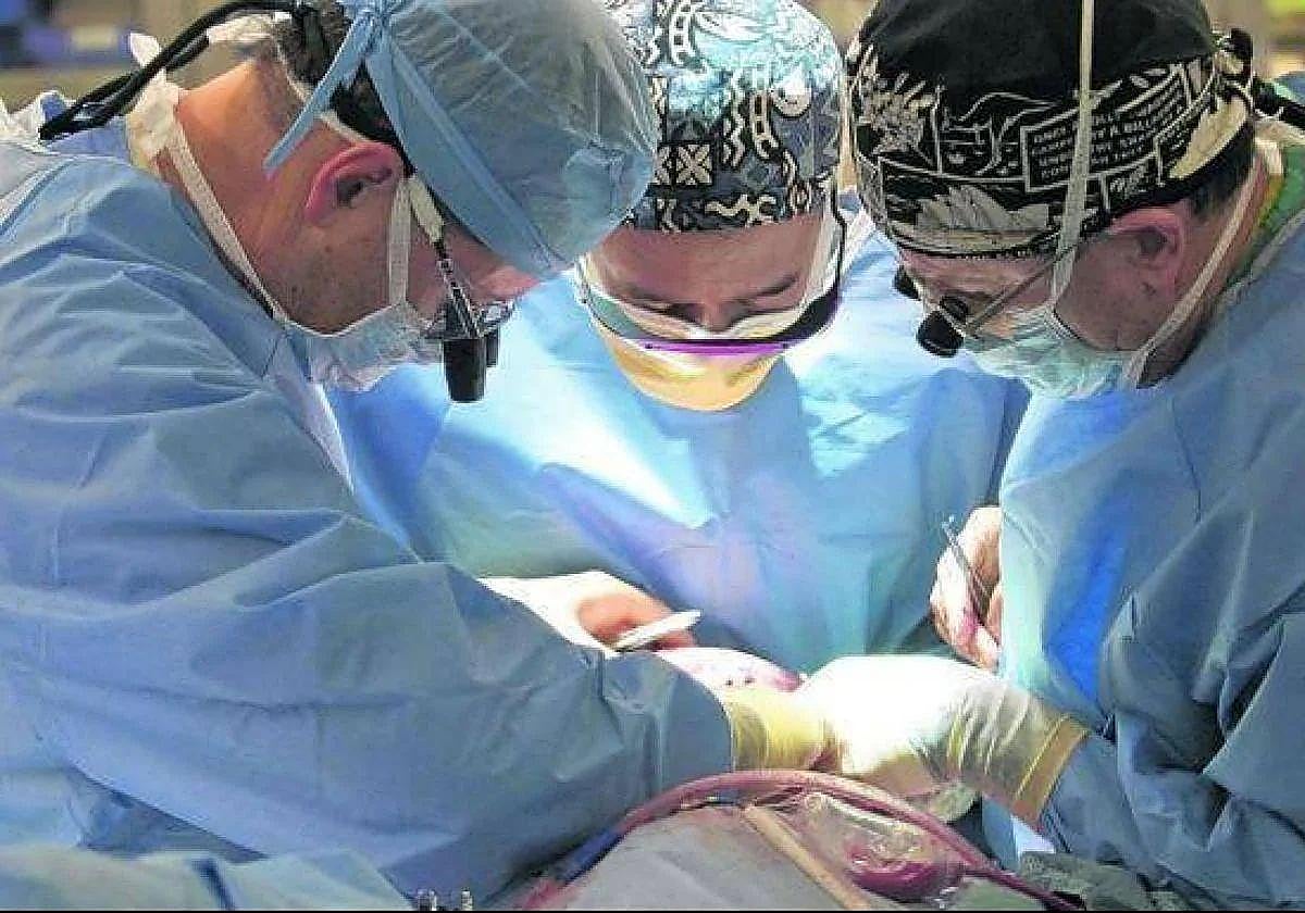 León suma 15 donantes de órganos en el primer semestre del año