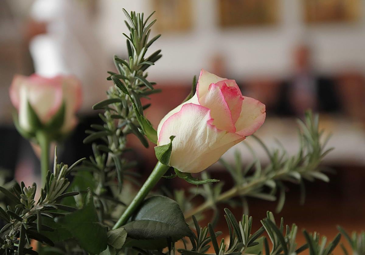 Una investigación en León revela cuántos españoles tienen nombre o apellido procedente de plantas