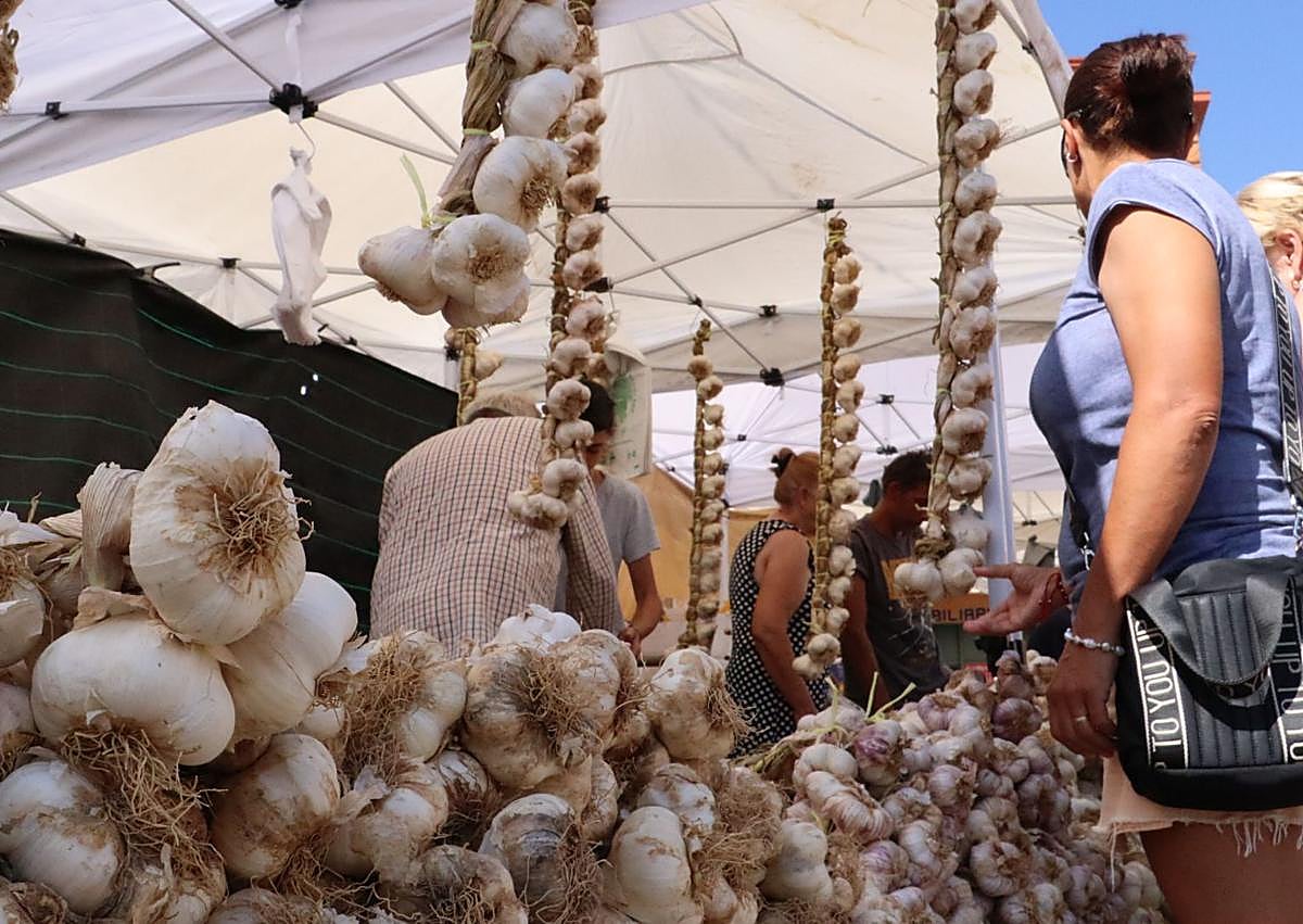 Imagen secundaria 1 - Feria del ajo de Veguellina de Órbigo