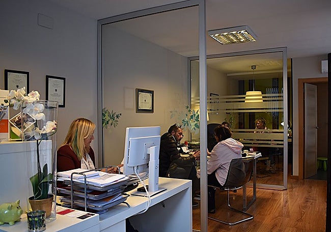 Profesionales en Seguros Aneelco