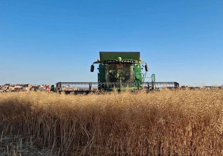 Las organizaciones agrarias de Castilla y León tildan de «nefasta» y «lamentable» la propuesta presentada para el presupuesto de la PAC