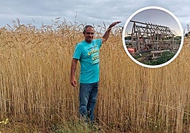 Marcos Sahelices posa con el centeno que creará el teito. En pequeño, el armazón del lagar.