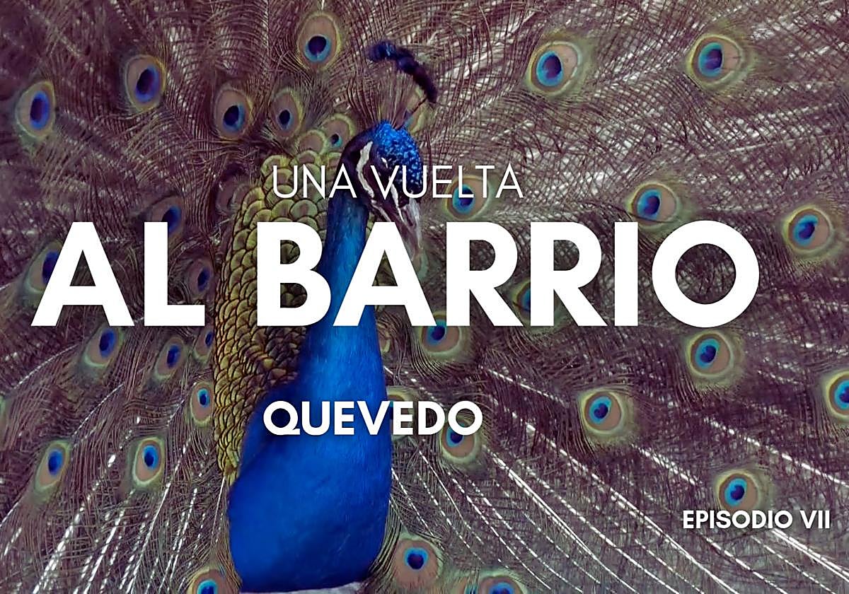 El Crucero, un barrio «atendido» y con la inmigración integrada