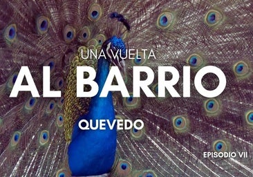 El Crucero, un barrio «atendido» y con la inmigración integrada