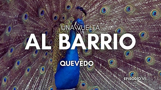 El Crucero, un barrio «atendido» y con la inmigración integrada