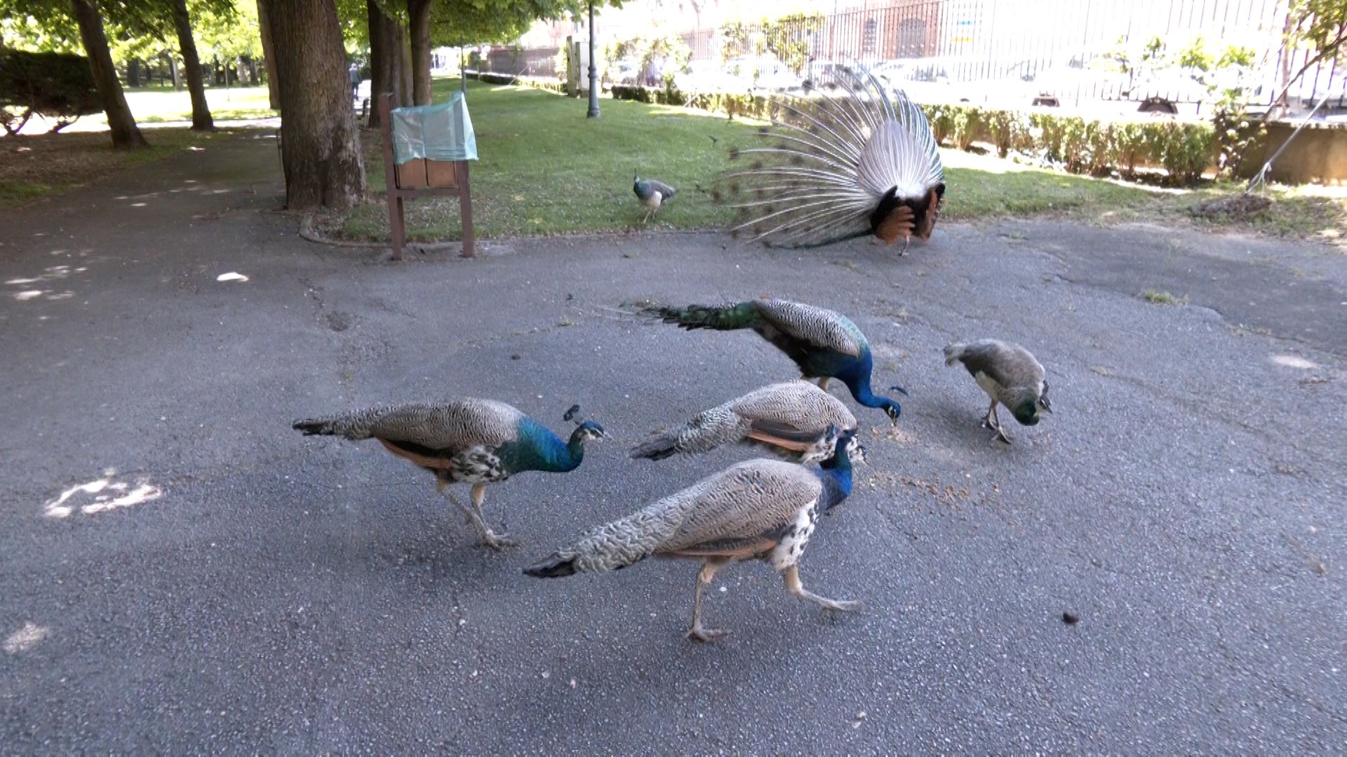 Así es el barrio de El Crucero