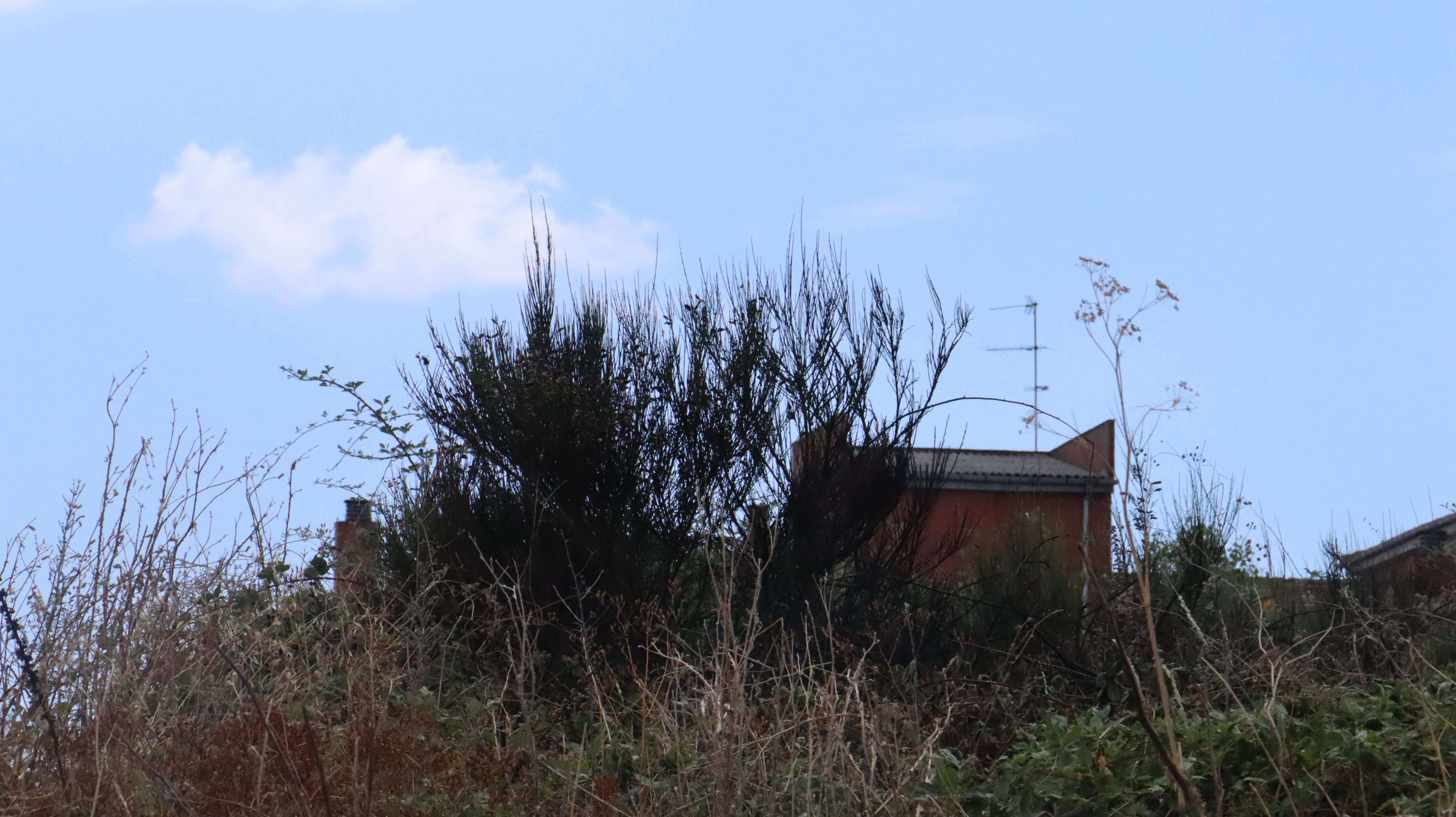 Así ha sido el incendio cercano al Hospital de León