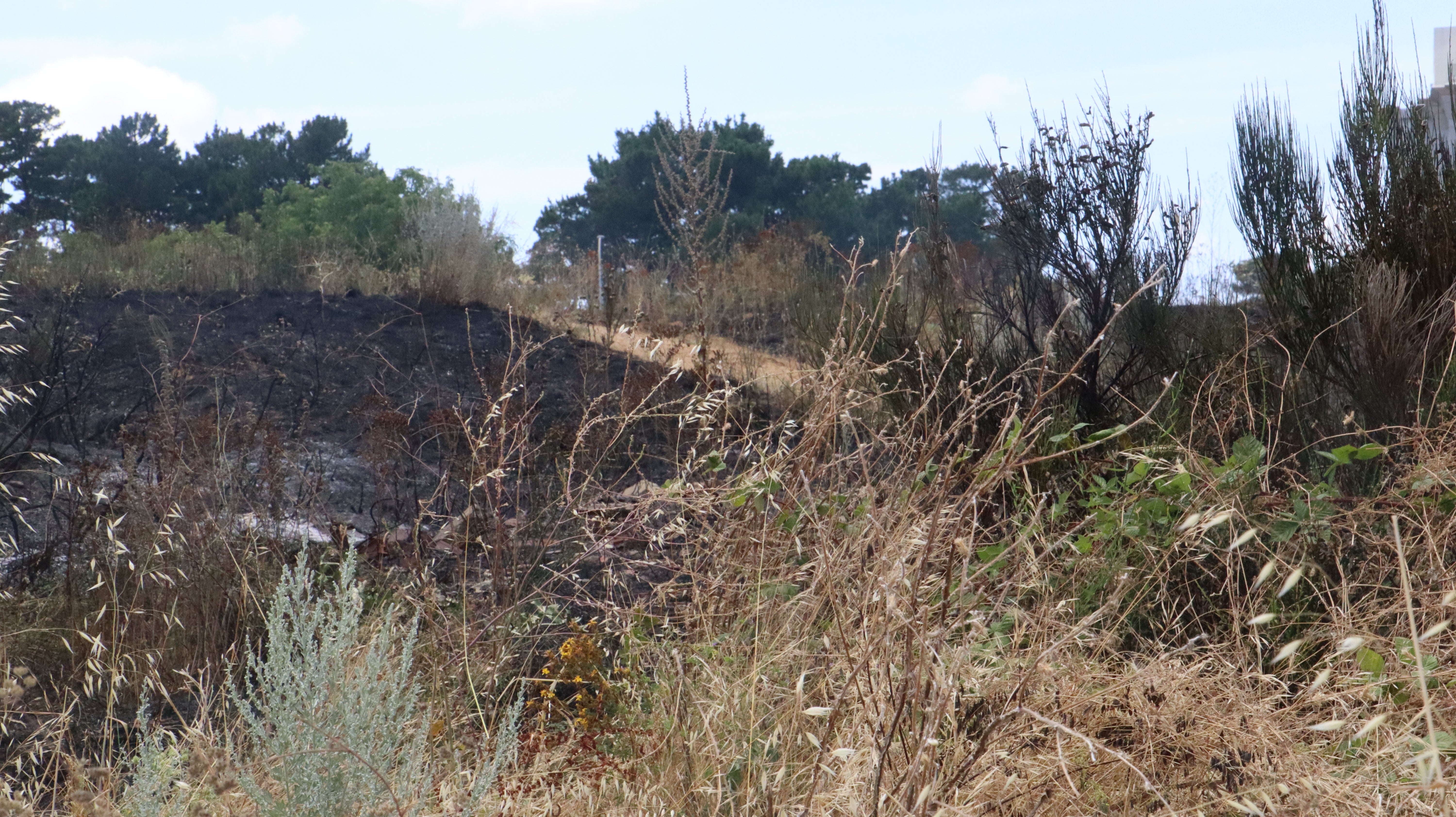 Así ha sido el incendio cercano al Hospital de León