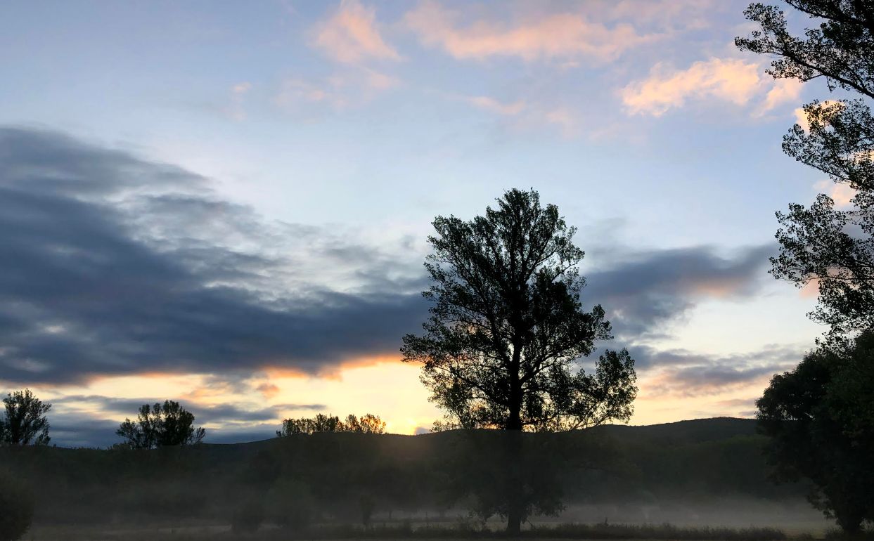 Imagen de una gota de lluvia al caer.