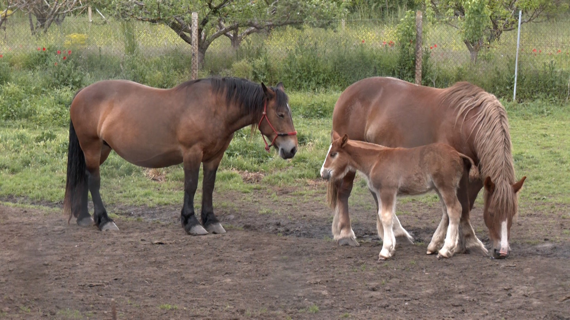 Así es el barrio de Los Juncales en León
