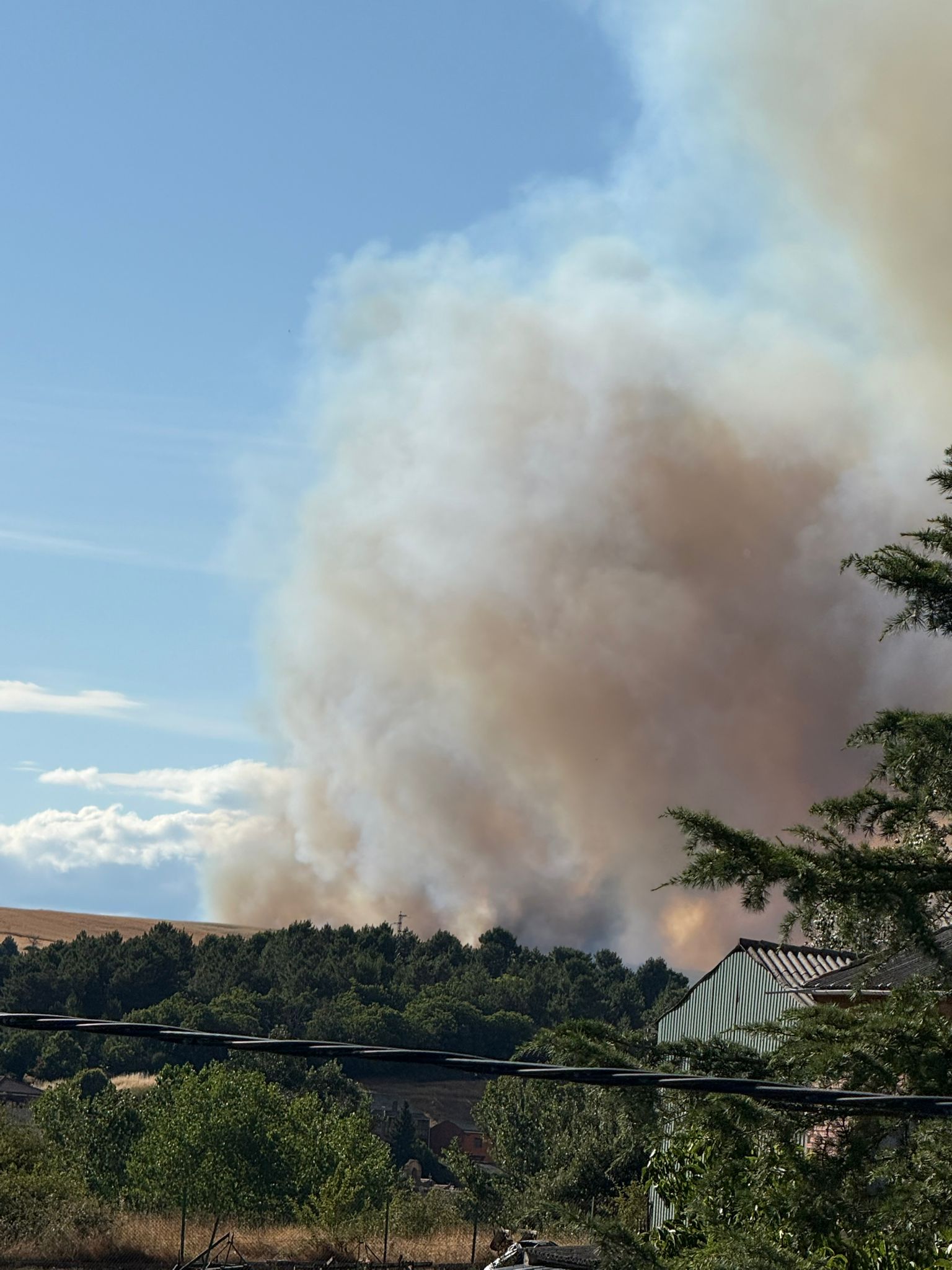 Incendio forestal en Ferreras de Cepeda