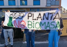 Varios manifestantes sostienen una pancarta contra la instalación de la planta de biomasa.