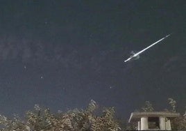Uno de los últimos avistamientos en la península.