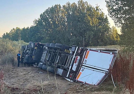 Imagen del camión en la LE-11.