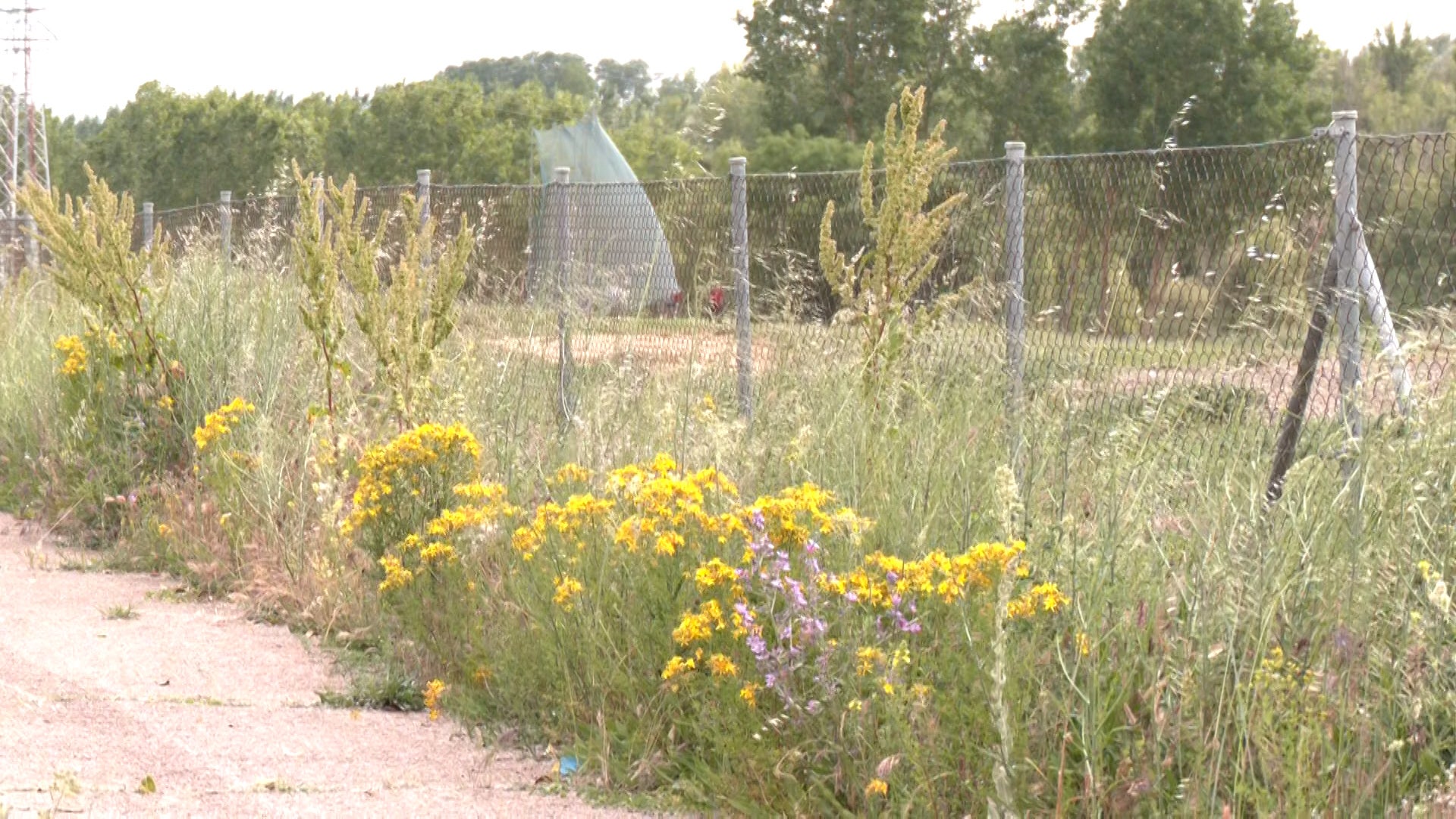 Así es el barrio de Reino de León
