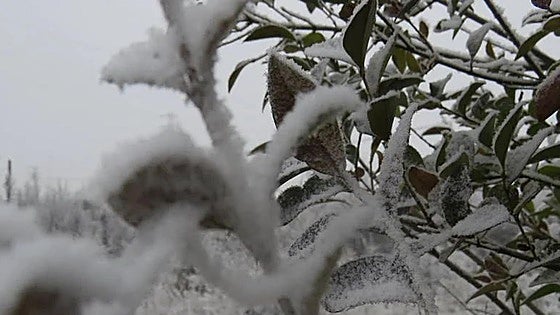 El punto de León que registra más de diez noches bajo cero en pleno julio