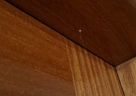 Imagen de uno de los pisos afectados.