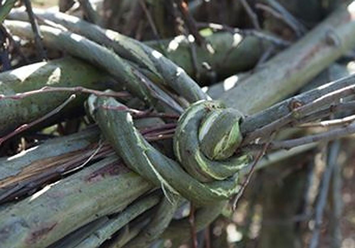 Imagen de archivo de uno de los carteles de la convocatoria del 'Nudo/Knot'.