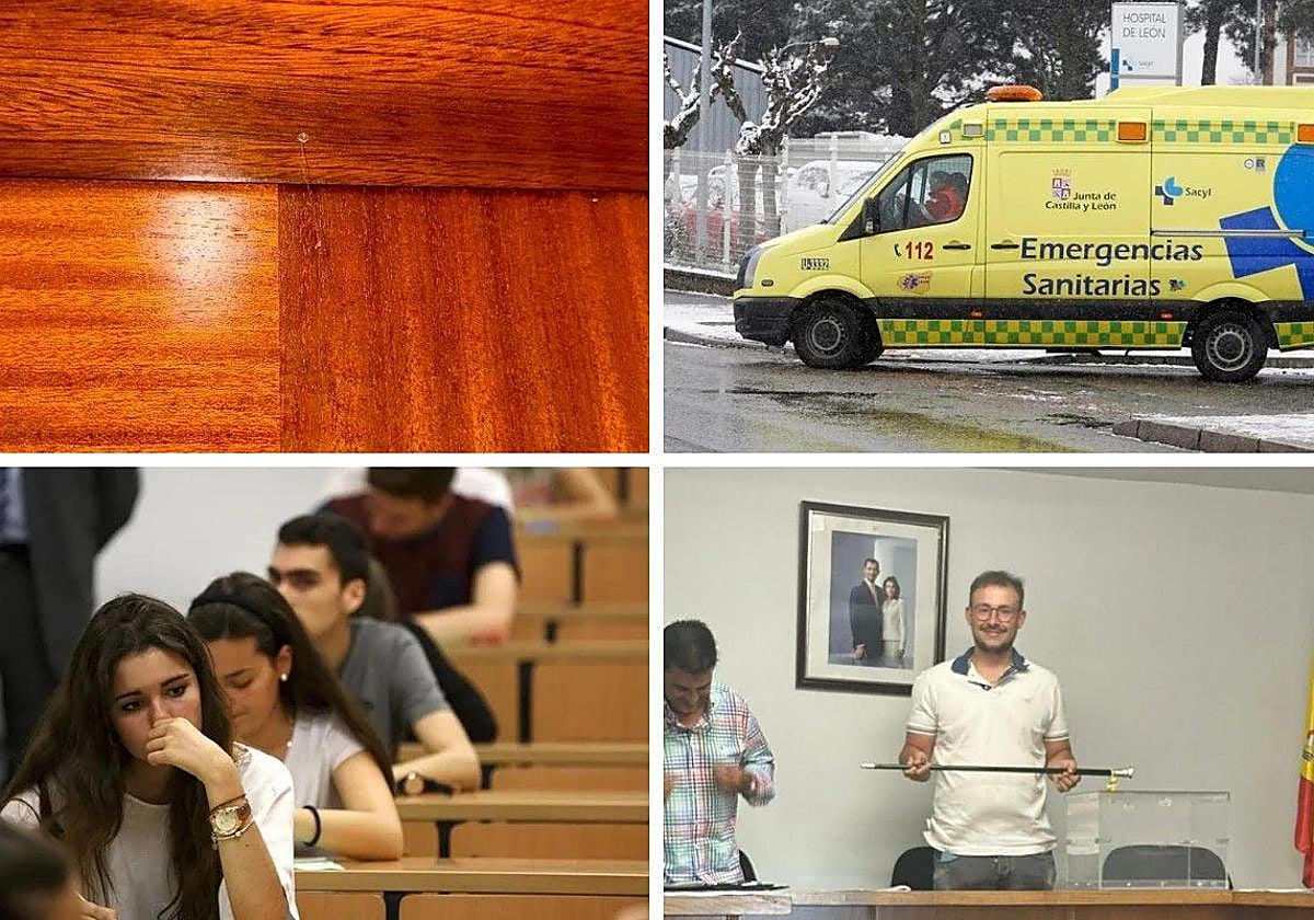 Las imágenes del día.