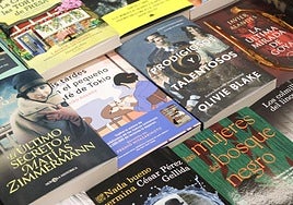 Imagen de las distintas estanterías y libros de la Librería Pastor.