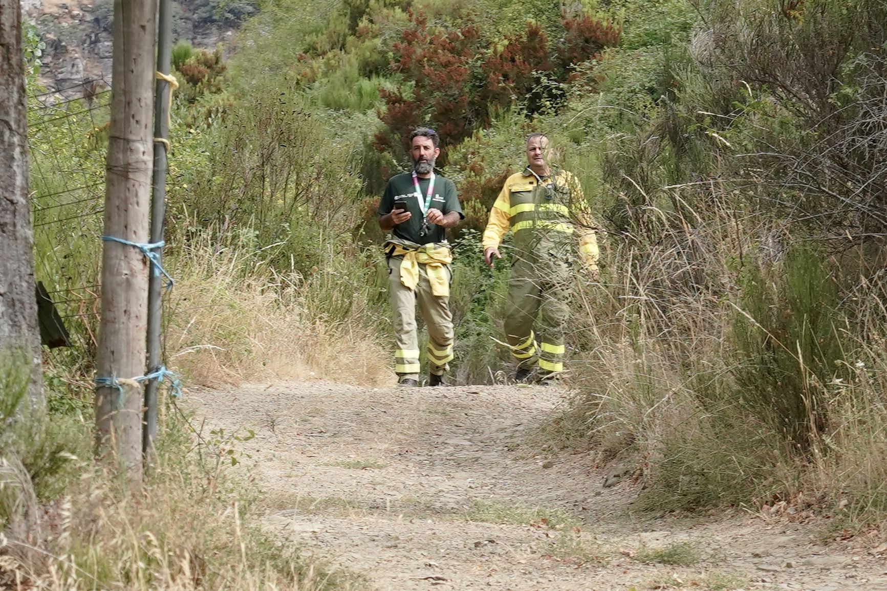 Las imágenes del incendio de Olleros de Alba