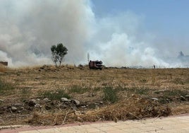 El incendio en Armunia, en las cercanías del IES García Bellido.