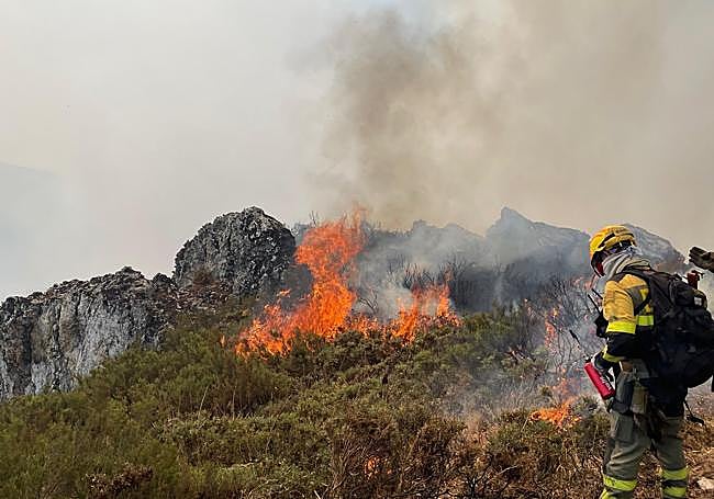 Imagen del incendio declarado en Fasgar.
