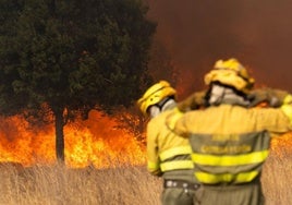 Bomberos trabajan para extinguir el incendio, a 10 de agosto de 2025, en Molezuelas de la Carballeda, Zamora.
