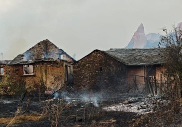 «Los servicios de extinción son muy buenos, pero la gestión forestal es muy mala»
