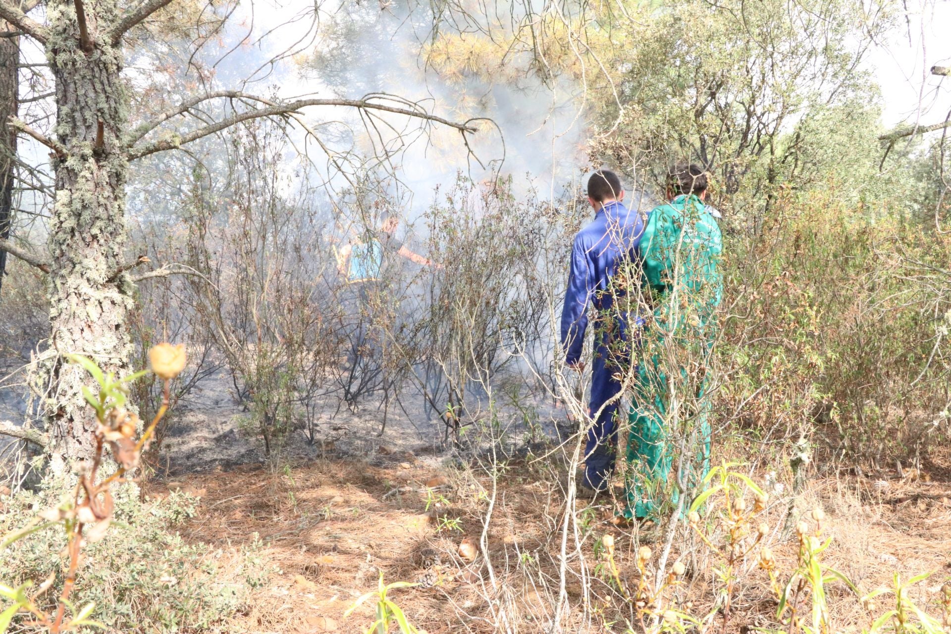 Las imágenes de los vecinos de San Esteban de Nogales