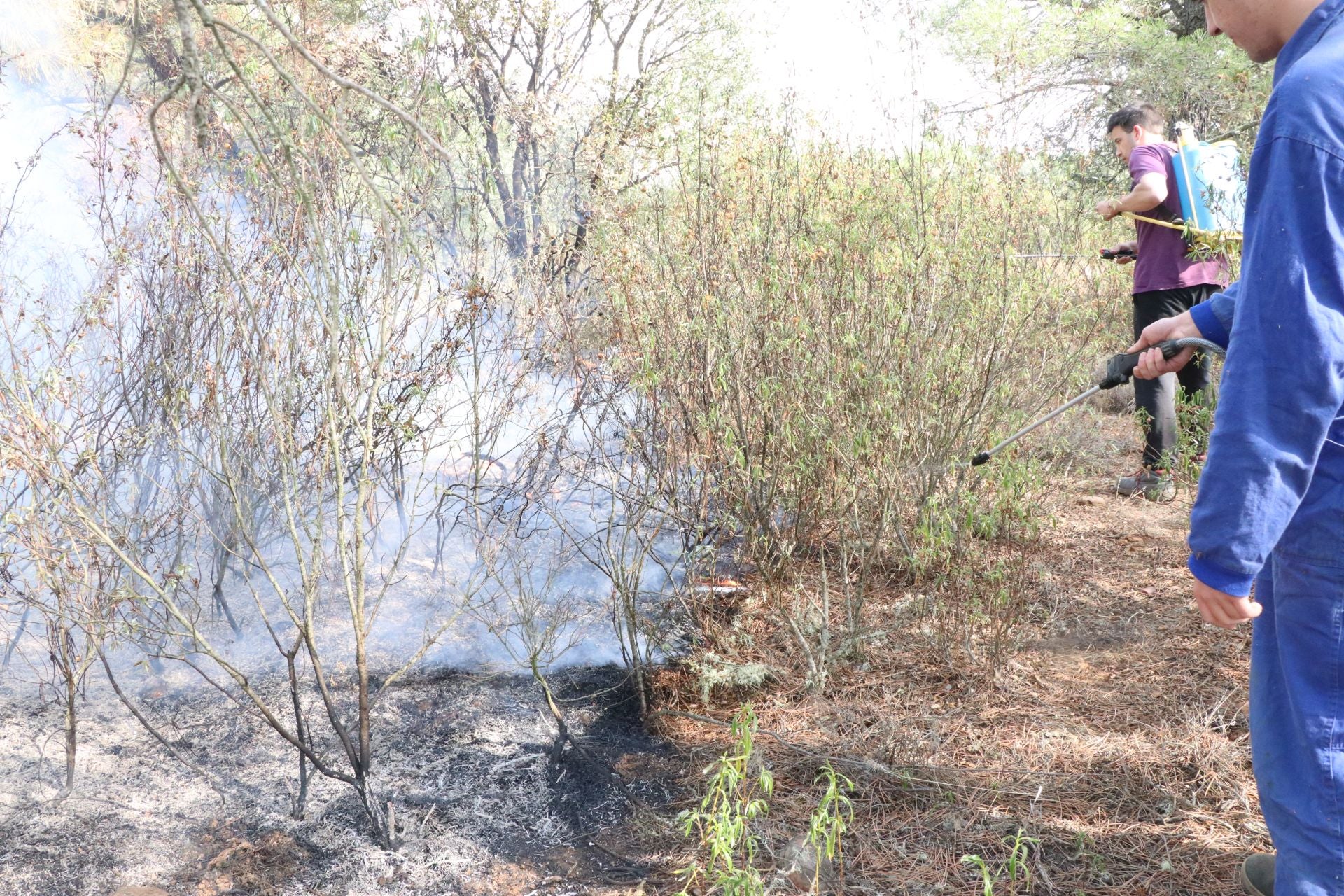 Las imágenes de los vecinos de San Esteban de Nogales