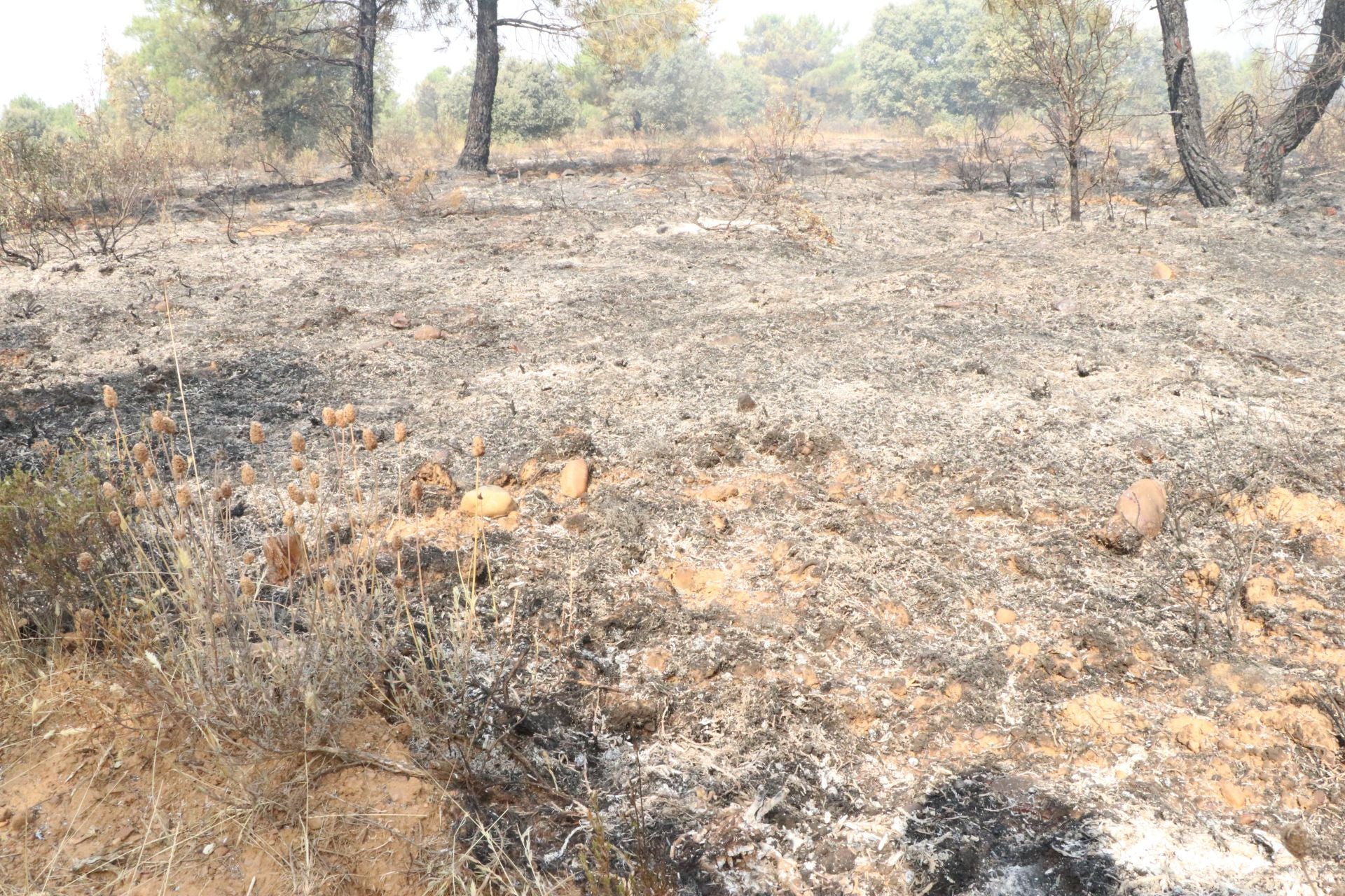 Las imágenes de los vecinos de San Esteban de Nogales