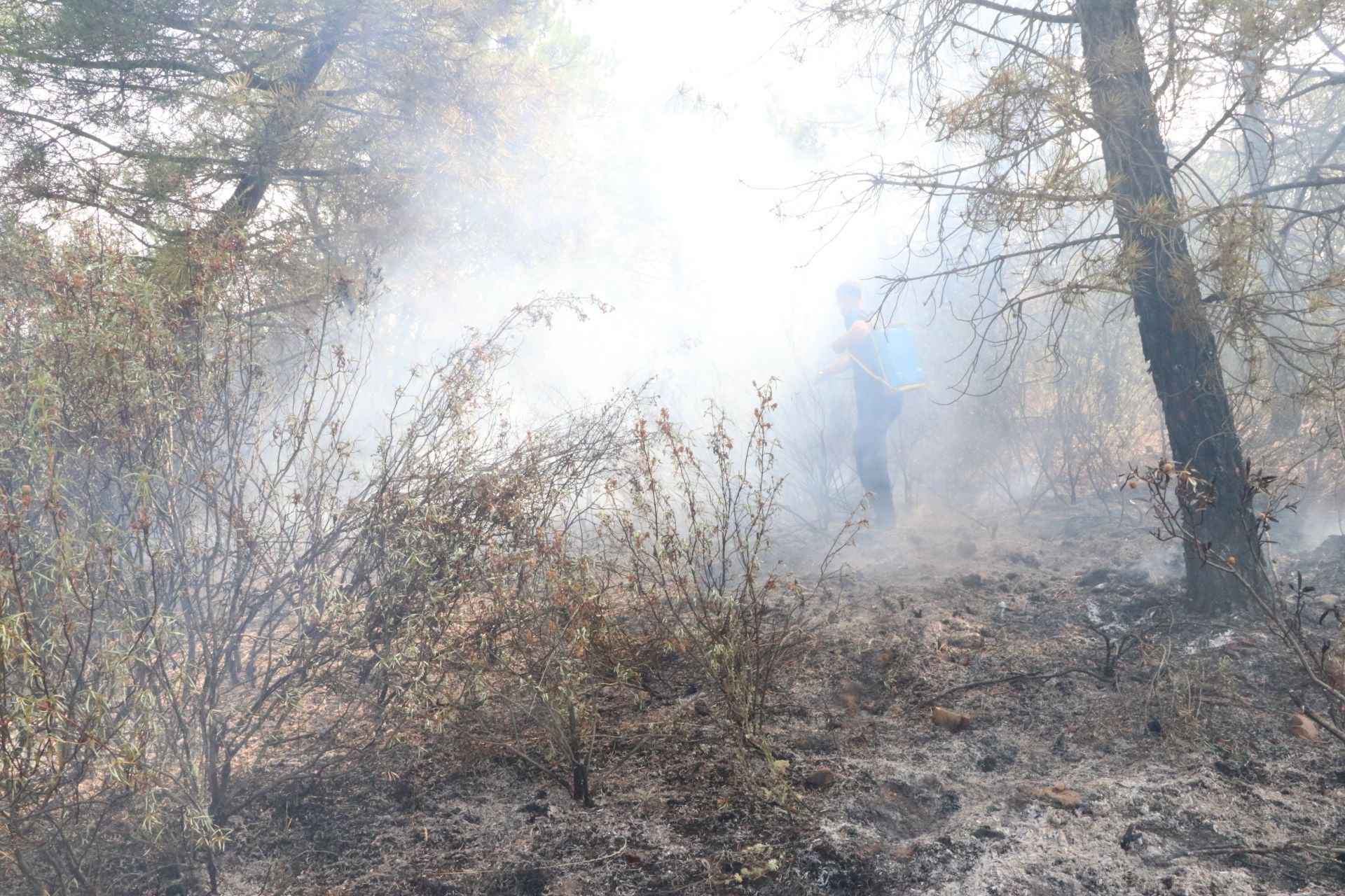 Las imágenes de los vecinos de San Esteban de Nogales