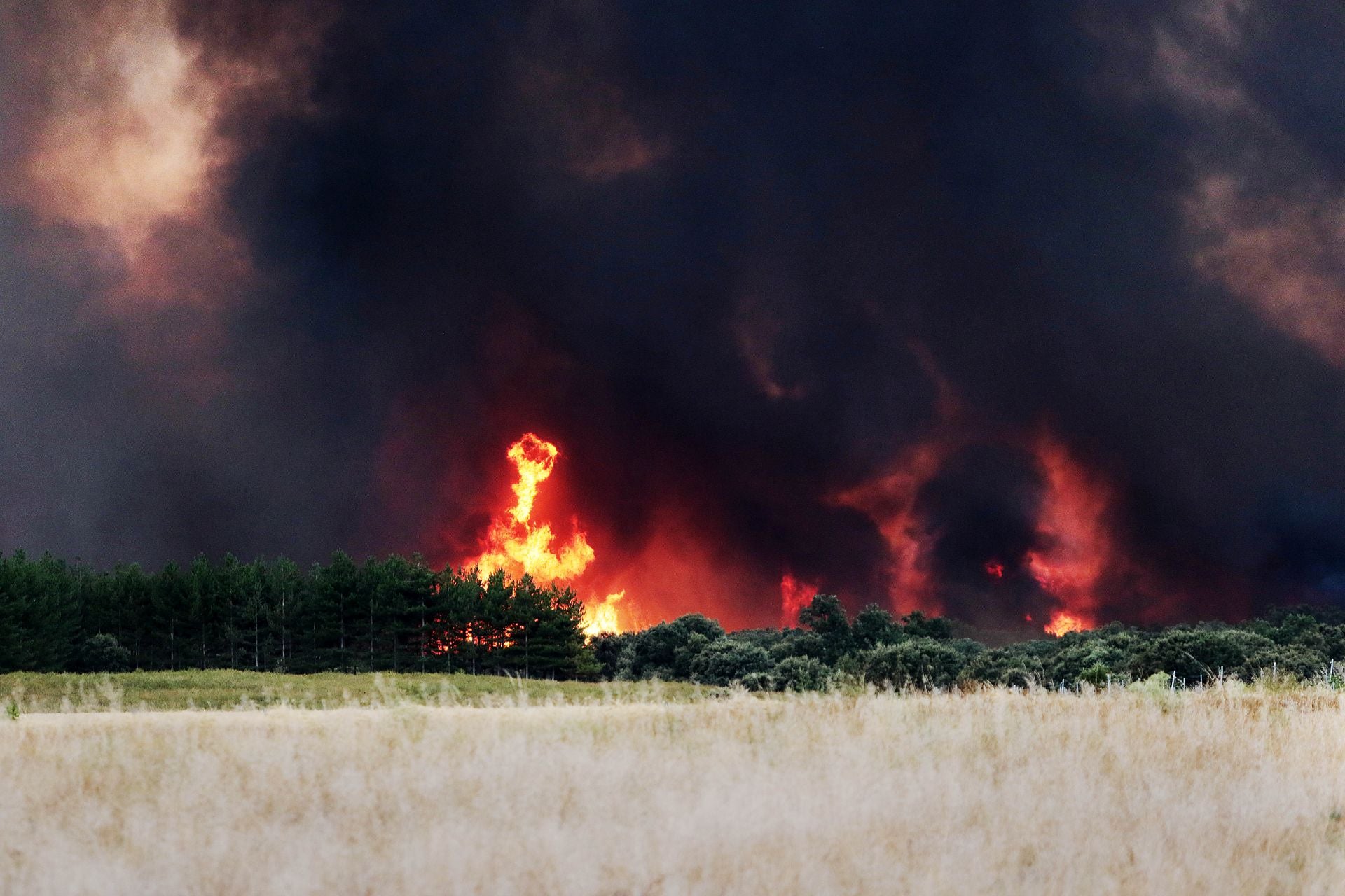 Las imágenes de la evacuación de un pueblo de León por los incencios