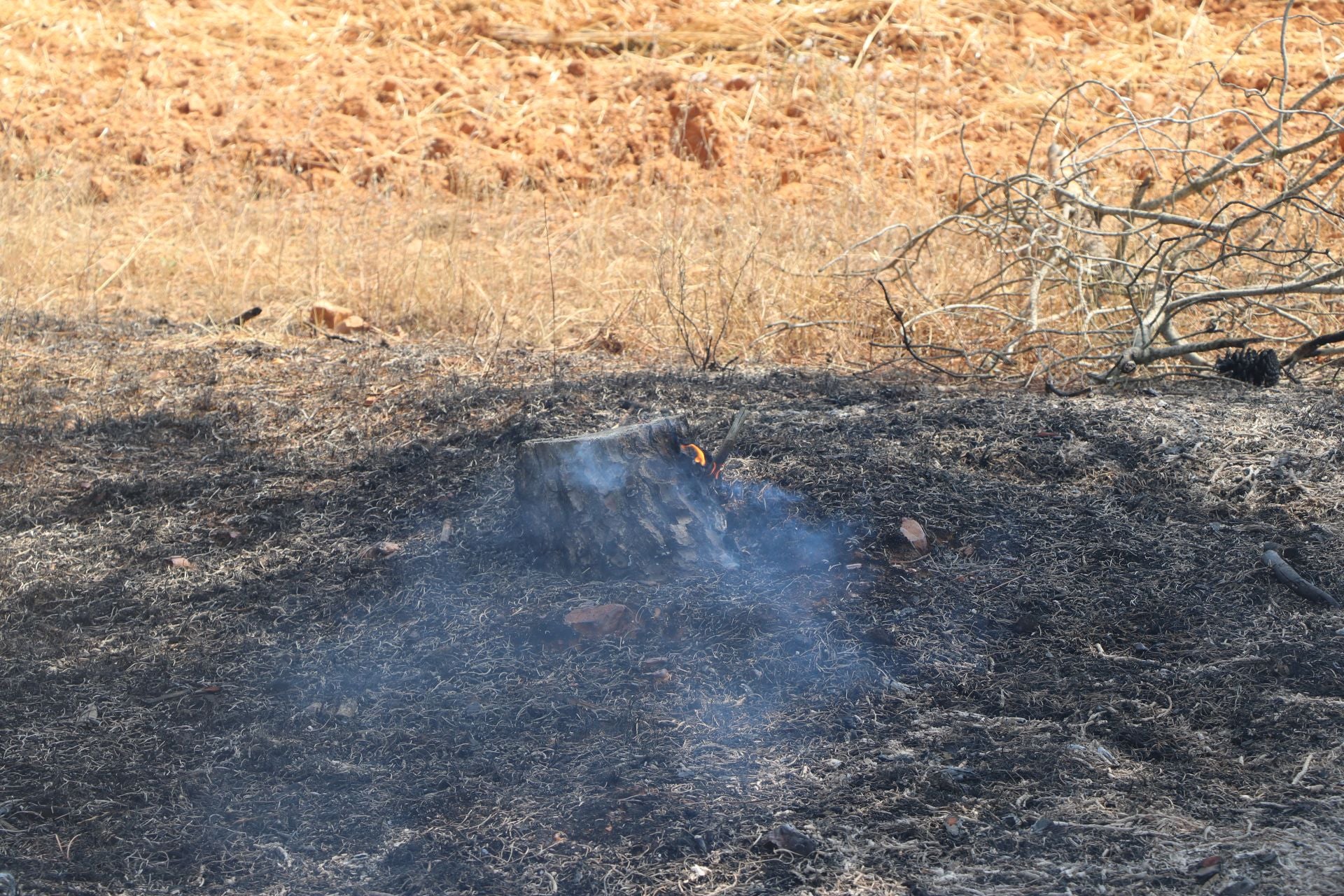 El Puesto de Mando Avanzado coordina la lucha contra el incendio de Castrocalbón