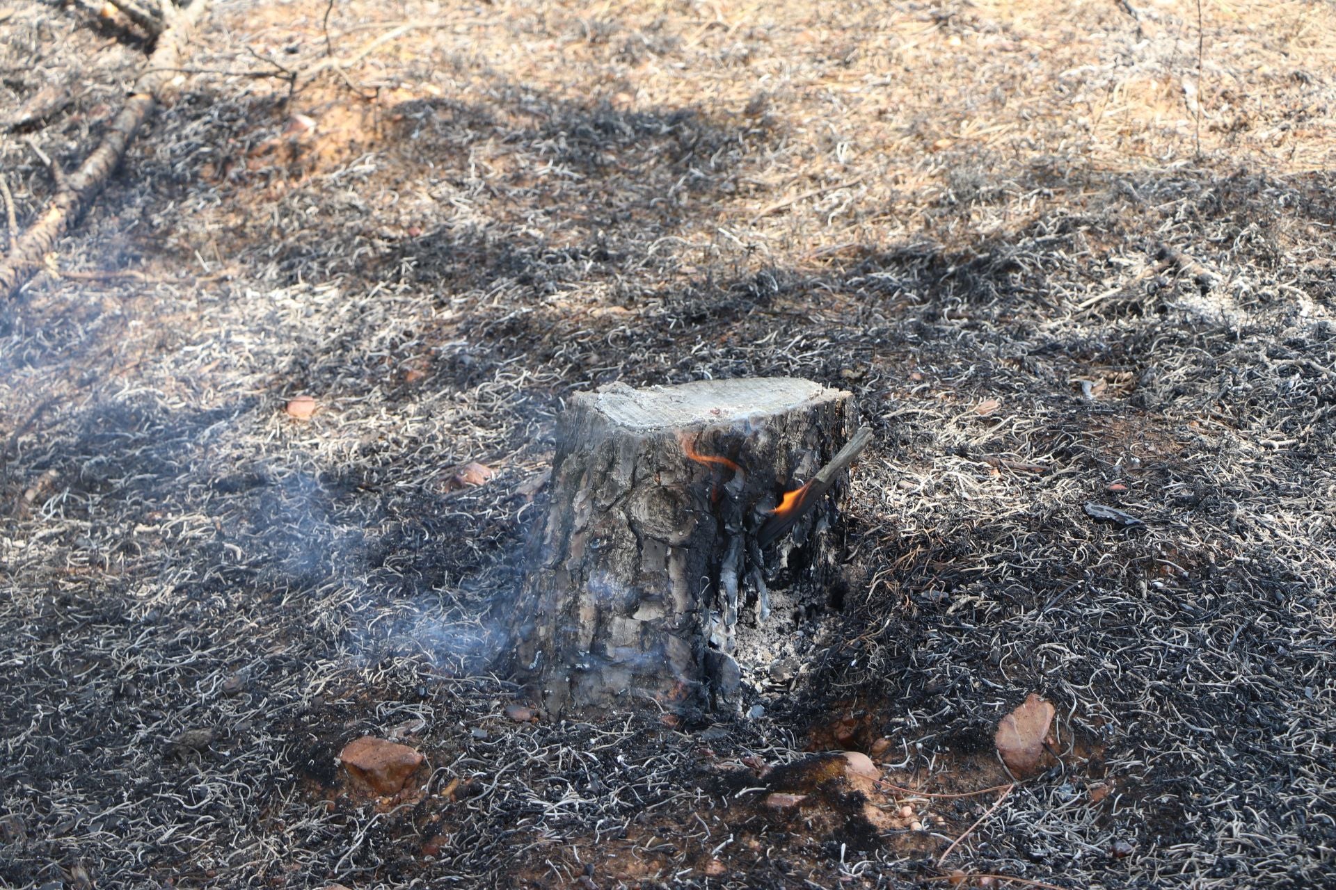 El Puesto de Mando Avanzado coordina la lucha contra el incendio de Castrocalbón