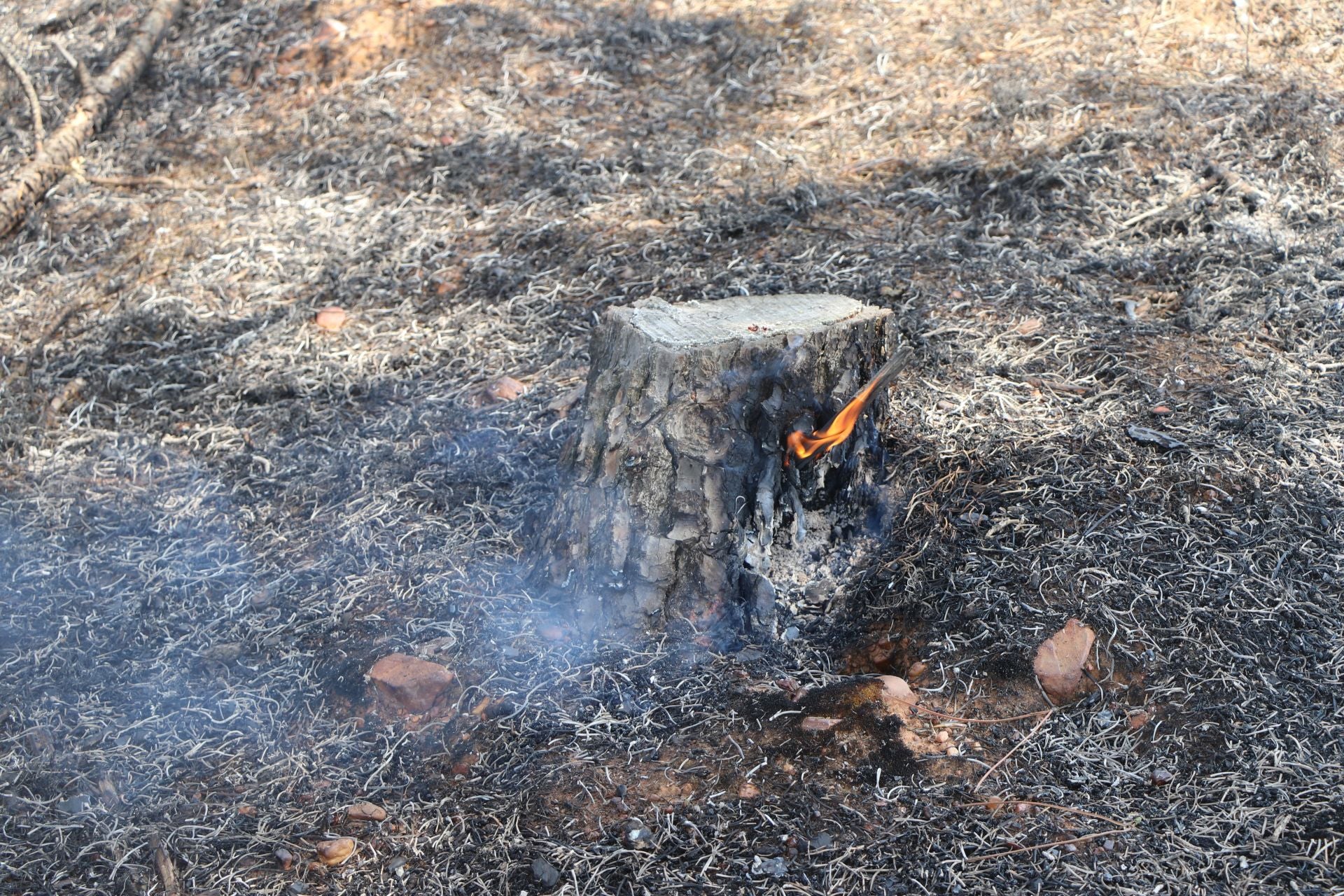 El Puesto de Mando Avanzado coordina la lucha contra el incendio de Castrocalbón