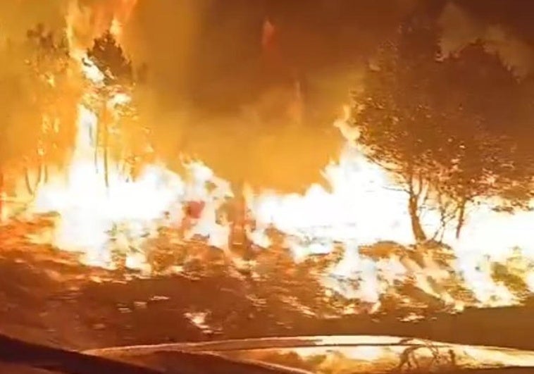 Incendio forestal de Castrocalbón: «Toda una comarca se quema y aquí no hay nadie»