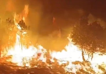 Incendio forestal de Castrocalbón: «Toda una comarca se quema y aquí no hay nadie»