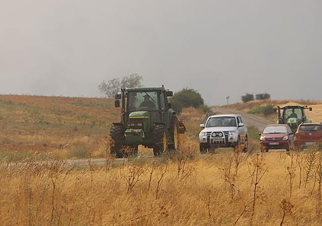 Imagen de tractores y coches que regresan desde la carretera de Jiménez de Jamuz a Santa Elena de Jamuz.