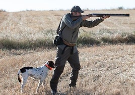 Comienza la media veda en Castilla y León, con buenas expectativas de captura.