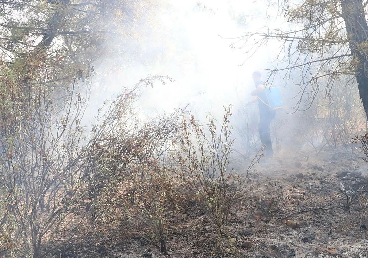 Incendios en León y Zamora.